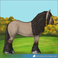 Horse Color:Liver Red Dun  and Liver Red Dun 