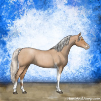 Horse Color:Silver Blue Roan Pearl Tobiano Frame 