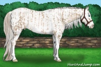 Horse Color:Chocolate Palomino Pearl Tobiano Frame  and Chocolate Palomino Pearl Tobiano Frame 