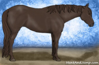 Horse Color:Liver Chestnut  and Liver Chestnut 
