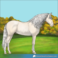 Horse Color:Silver Classic Cream Champagne Pearl