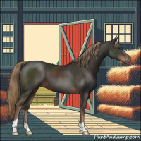 Horse Color:Liver Chestnut 