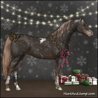 Horse Color:Liver Chestnut Tobiano Snowflake Varnish