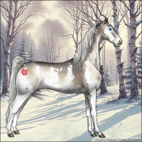 Horse Color:White Spotted Liver Red Onyx Mushroom Splash 