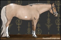 Horse Color:Silver Blue Roan Pearl Tobiano Frame 