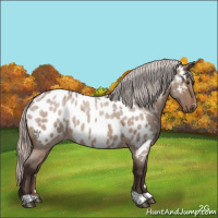 Horse Color:Silver Brown Roan Dun Appaloosa 
