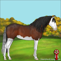 Horse Color:Brown Splash 