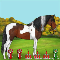 Horse Color:Brown Tobiano 