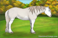 Horse Color:Smoky Creme Dun Splash 