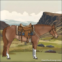 Horse Color:Chestnut Tobiano