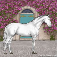 Horse Color:Gray Red Roan