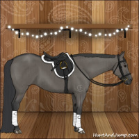 Horse Color:Grullo Brindle 