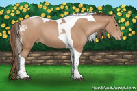 Horse Color:Black Pearl Tobiano 