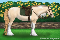 Horse Color:Buckskin Pearl Tobiano 