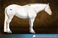 Horse Color:Palomino Roan Pearl Tobiano 