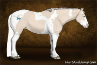 Horse Color:Cremello Splash Tobiano