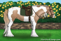 Horse Color:Liver Chestnut Pearl Tobiano 