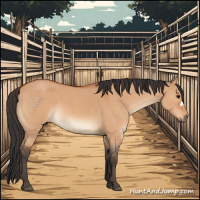 Horse Color:Bay Roan Dun 