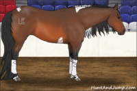 Horse Color:Bay Tobiano 