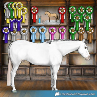 Horse Color:Liver Red Dun Appaloosa Brindle 