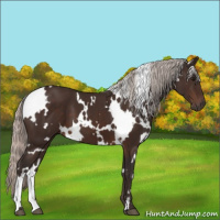 Horse Color:White Spotted Silver Brown 