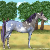 Horse Color:Platinum Painted White Spotted Liver Red Dun 