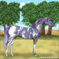 Horse Color:Painted Watercolor White Spotted Liver Red Dun Ice 