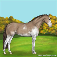 Horse Color:White Spotted Classic Champagne