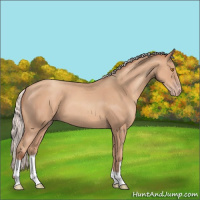 Horse Color:Silver Classic Champagne 