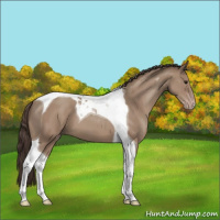 Horse Color:Classic Champagne Tobiano 