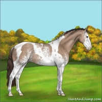 Horse Color:White Spotted Classic Champagne Tobiano