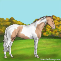 Horse Color:Silver Sable Champagne Tobiano 