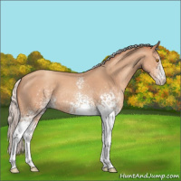 Horse Color:White Spotted Silver Classic Champagne 