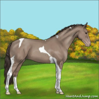 Horse Color:Classic Champagne Tobiano 
