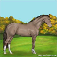 Horse Color:Classic Champagne 