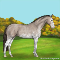 Horse Color:White Spotted Classic Champagne Roan 