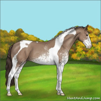 Horse Color:White Spotted Classic Champagne Tobiano 