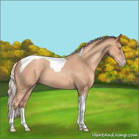 Horse Color:Silver Classic Champagne Roan Tobiano 