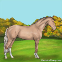 Horse Color:Silver Classic Champagne 