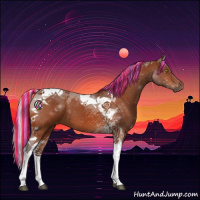 Horse Color:Painted Silver Bay Tobiano 