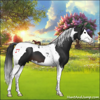 Horse Color:Brown Splash Tobiano 