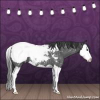 Horse Color:Blue Roan Splash Snowcap