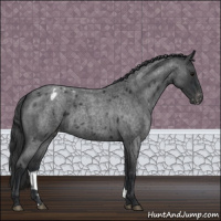 Horse Color:Blue Roan Varnish 