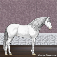 Horse Color:Blue Roan Fewspot