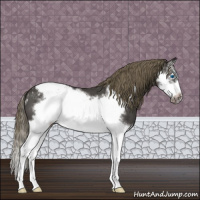 Horse Color:Smoky Blue Roan Splash Frame Snowcap 
