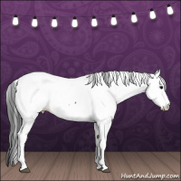 Horse Color:Blue Roan Fewspot 