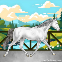 Horse Color:Blue Roan Splash Near Fewspot 
