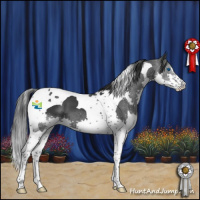 Horse Color:Black Splash Tobiano 