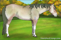 Horse Color:Brown Ice Pearl Onyx