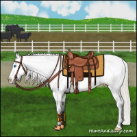 Horse Color:Silver Smoky Black Ice Splash Appaloosa Rabicano 